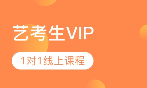 艺考生VIP 1对1线上课程