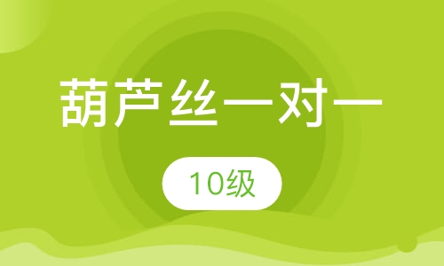 葫芦丝一对一  10级