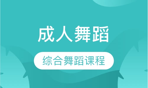 成人综合舞蹈课程次卡