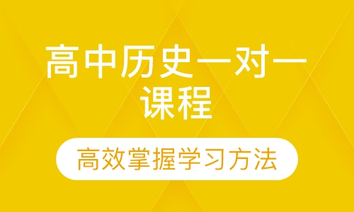 高中历史一对一课程