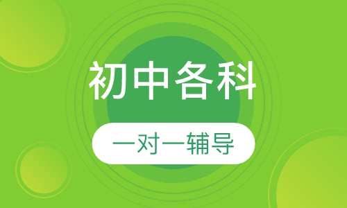 初中各科一对一辅导