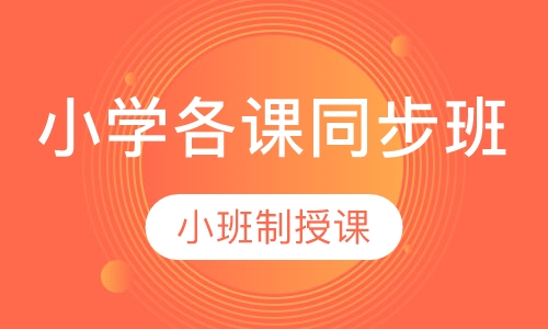 小学各课同步班