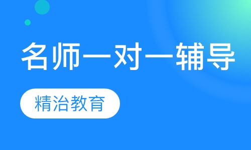 名师一对一辅导