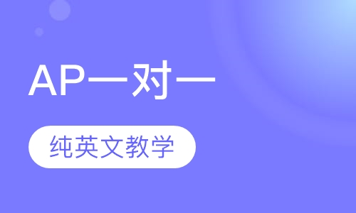 AP课程VIP一对一