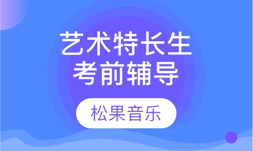 艺术特长生考前辅导课程