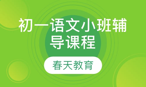 初一语文小班辅导课程