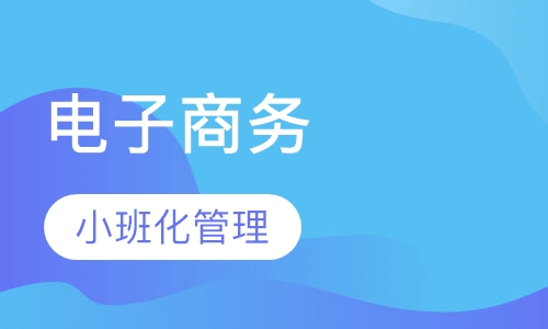 网络教育电子商务