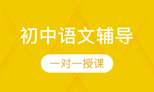 初中一对一语文辅导