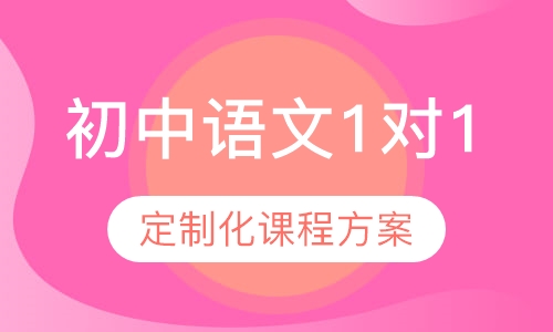 初中语文精准1对1