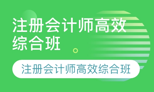注册会计师高效综合班