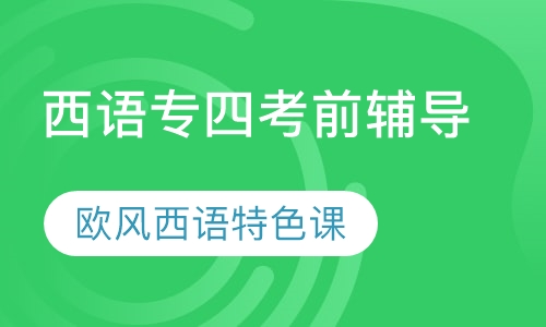 直播课西语专四班