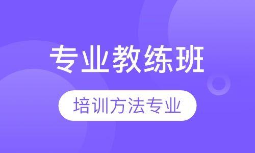 专业教练班
