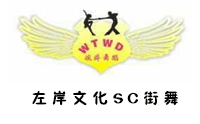 郑州婉婷舞蹈艺术中心