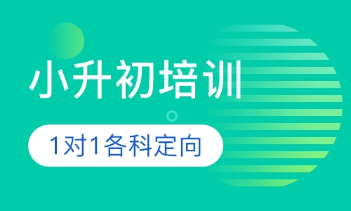 小升初1对1各科个性化提升课程
