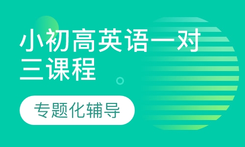 小初高一对三英语课程