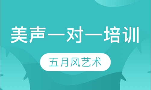 美声一对一培训