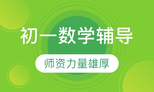 初一数学辅导