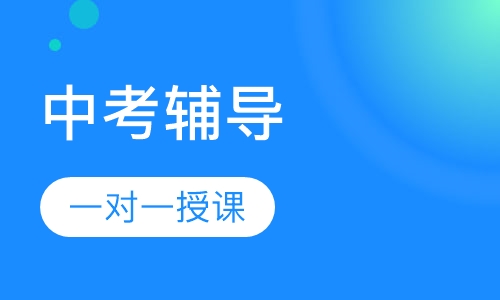 中考一对一辅导