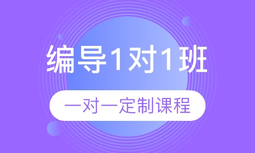 编导一对一班