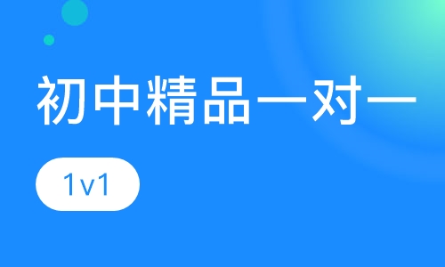 初中精品一对一