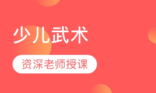 少儿武术