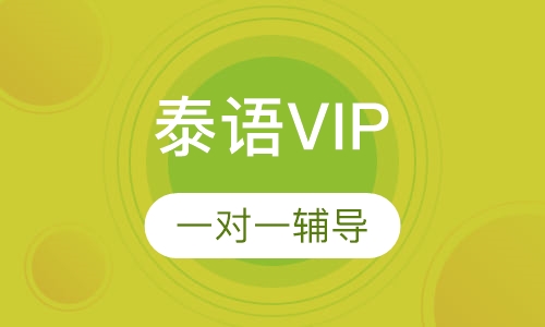 泰语VIP培训