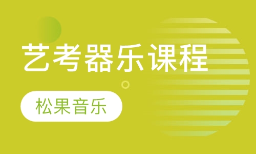 艺考器乐课程