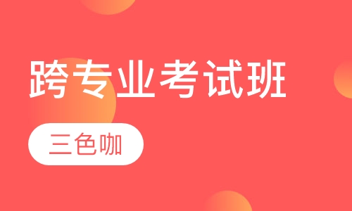 跨专业考试班