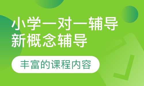 小学一对一辅导新概念辅导