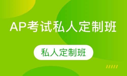 AP考试私人定制班