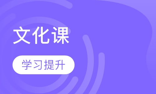 艺术生全日制文化课