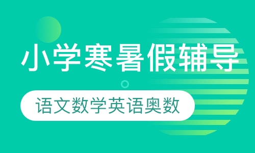 小学寒暑假辅导