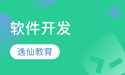 软件开发