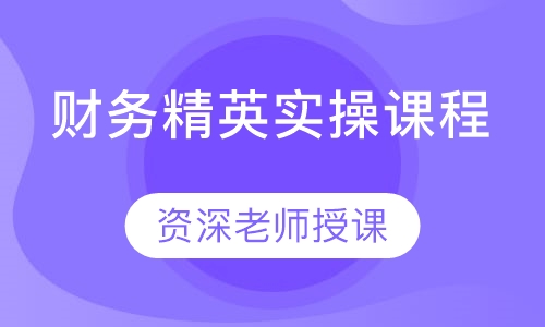 财务精英实操课程