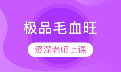 极品毛血旺