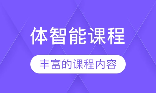 体智能课程