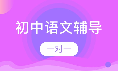 初中一对一语文辅导