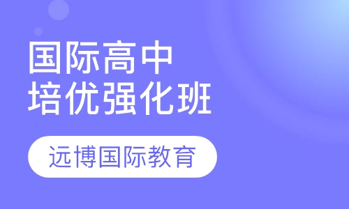 国际高中培优强化班