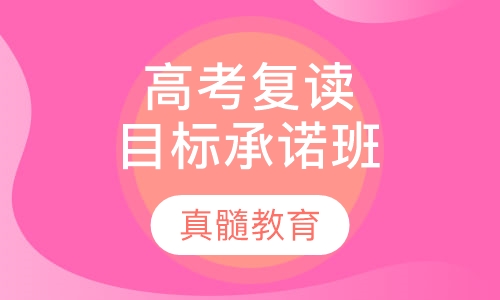 名师高考复读目标承诺班