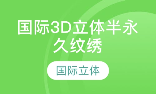 国际3D立体半永久纹绣