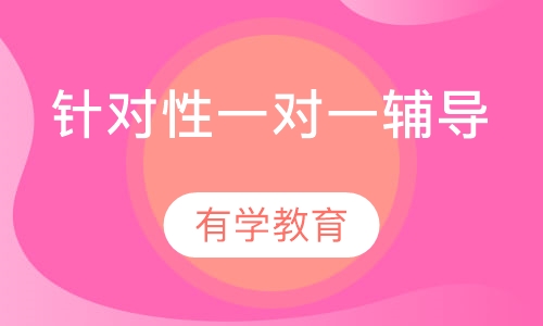 针对性一对一辅导