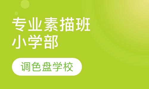 专业素描班小学部