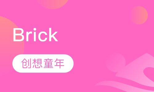Brick program八岁
