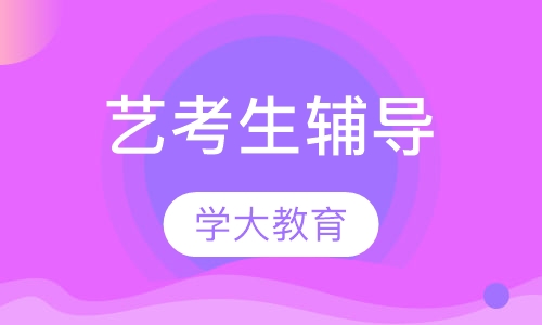 艺考生辅导