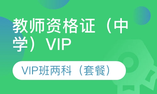 教师资格证（中学）VIP班两科（套餐）