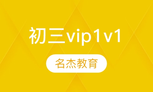 初三vip1v1