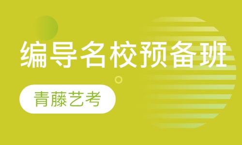 编导名校预备班