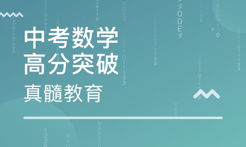 中考数学思维高分突破