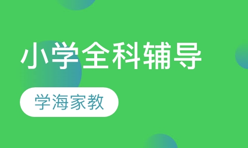 小学全科辅导