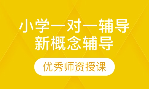 小学一对一辅导新概念辅导